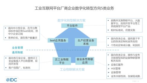 idc 中国工业互联网平台市场分析