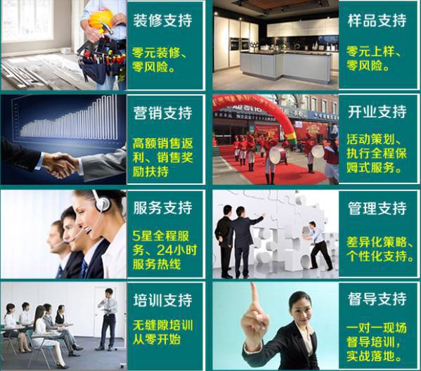 基本投资10 30万 可以选择哪些橱柜品牌