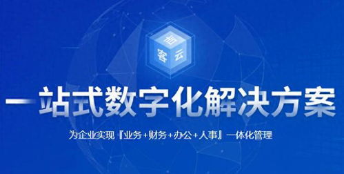 2025年erp软件服务商排行榜 行业领先品牌全解析